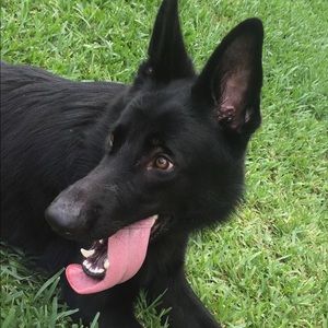 Meet your Posher, Ethan